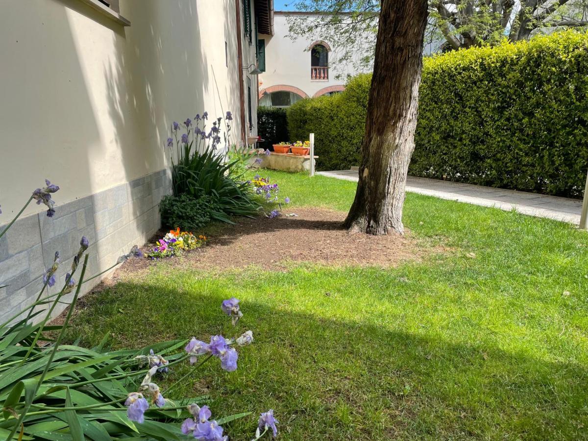 Dalu Florence Apartment Davide - Private Car Park 15 Minutes To The City Center Exterior foto