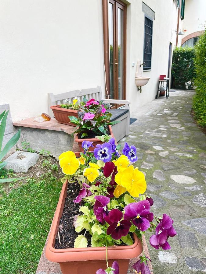 Dalu Florence Apartment Davide - Private Car Park 15 Minutes To The City Center Exterior foto