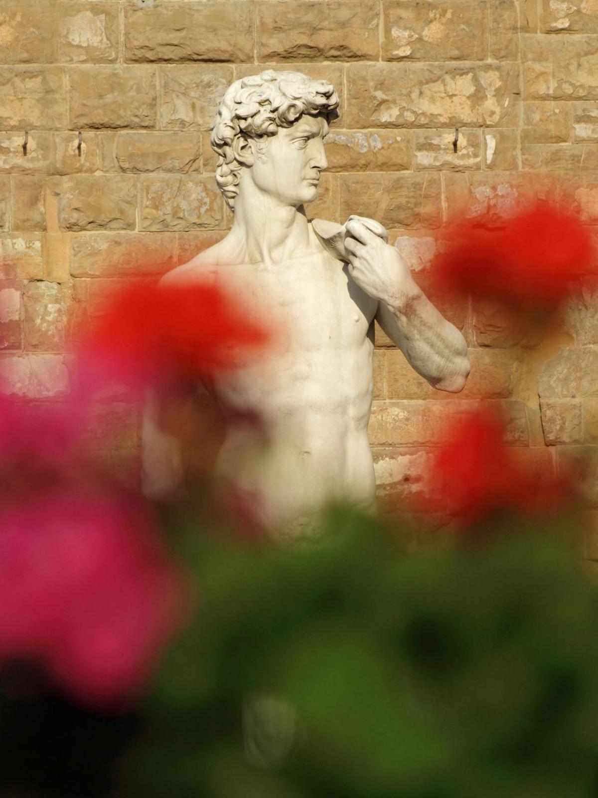 Dalu Florence Apartment Davide - Private Car Park 15 Minutes To The City Center Exterior foto